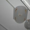 Plafoniera - immagine 2