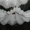 Sospensione - immagine 8