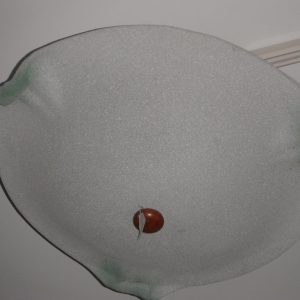 Plafoniera