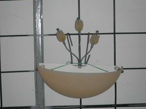 Applique Porreca