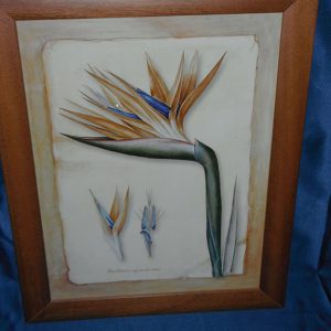 Quadro anonimo sterlizia
