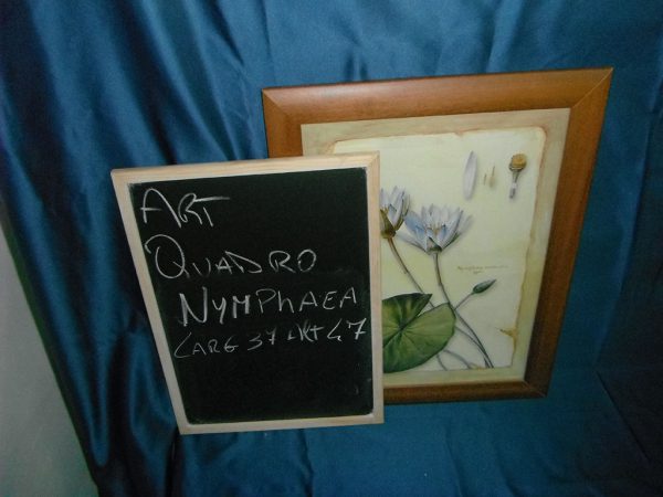 Quadro anonimo ninfea - immagine 2