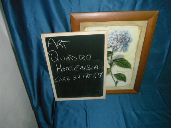 Quadro anonimo ortensia - immagine 2