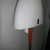 Piantana Porreca - immagine 6