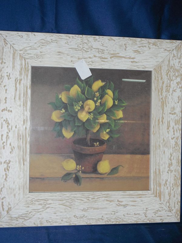 Quadro anonimo limone - immagine 3