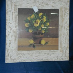Quadro anonimo limone