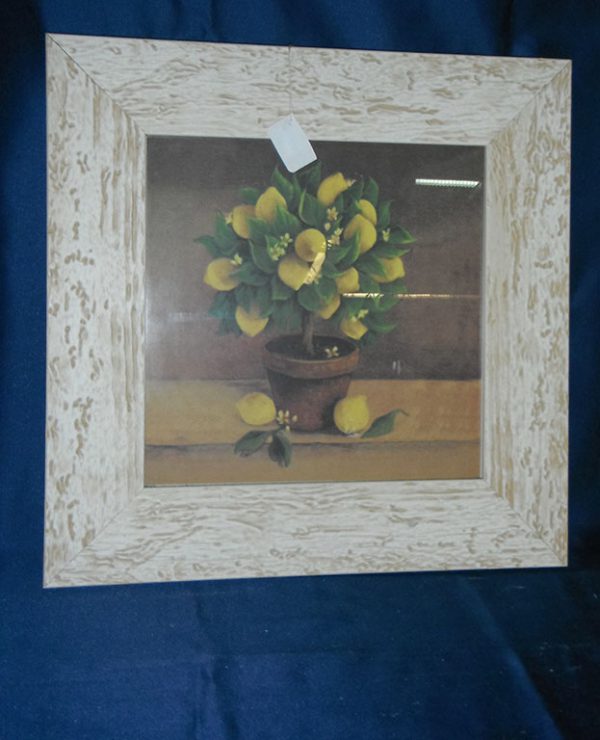 Quadro anonimo limone