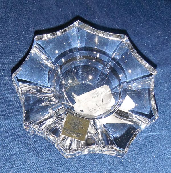 Ceneriera aster - immagine 3